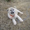 승준농장 이미지