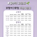 꼬맹이그루밍 이미지