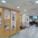 나비엘갤러리 이미지