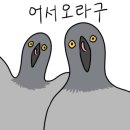 임해사진관