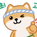 용인대 매화태권도 이미지