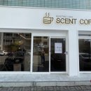 텐더센트