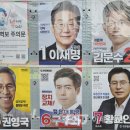 대선참치 이미지