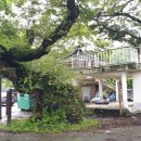 운평마을 이미지