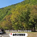 기대만족 양구점 | 양구캠핑장 추천! 수입천 따라 힐링한 송현리캠핑장 3박 4일 리얼 후기