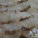 호남센터-6 이미지