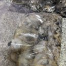 오천항 공중화장실 이미지