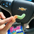 사우로 L 이미지