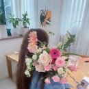 마이미플레르 이미지