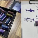 제주해양동물박물관 네이버블로그