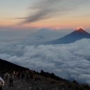 유네스코약국 이미지