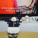 자이언트펭TV 본방 기다리며 이미지