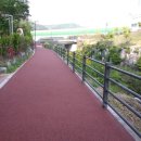 아빠의 정원 이미지