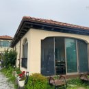 아라뜰데이지 이미지