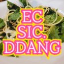 칠금동 공용버스터미널 앞