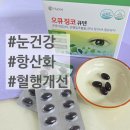 아이큐레이션