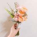 줄리엣로즈