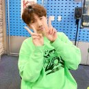 쌀강아지 이미지