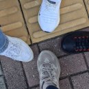 다올공인중개사사무소(합동) | 인덕원동탄선 서천역 위치 일대 부동산 걷는답사 후기 (11/15, 일)