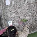 옥구공원 | [시흥 벅스리움 체험] 옥구공원 곤충박물관 29개월 아기 방문 후기 (예약·입장료 정리)