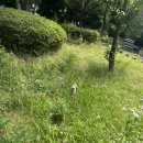수덕토스트 이미지