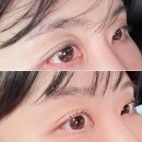 노무드 | 영통왁싱 속눈썹펌 무드왁싱&뷰티 노글루펌 c컬 후기