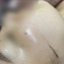 다인플래닝 네이버블로그