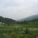 자작나무집 펜션 이미지