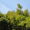 따뜻한 한줄 이미지