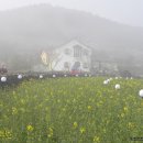 더난 티스토리