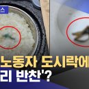 건설 노동자 도시락에 '개구리 반찬'? 이미지