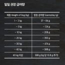 마이펫동물약국 이미지