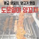 광교 양꼬치 지삼선이 맛있는, 도문일야 양꼬치