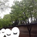 (주)유금종합건설 | 블챌 은연 답사기 4주 : 덕수궁~정동전망대~정동길~서울시립미술관~배재학당~정동교회~구러시아공사관...