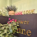 아도라 플라워 앤 카페 | 서면꽃집|전포꽃집::플라워앤 꽃다발 후기🌸(부산24시꽃집)