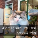 집사의 하루 전포점 네이버블로그