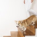 계산동물병원 이미지