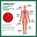 팀디토