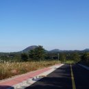 팜스하우스 이미지