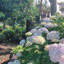 야곱 염소농장 | 제주도 체험농장 제주 파더스가든을 소개합니다