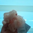여주-0529 네이버블로그