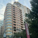 개멍물멍 | [호주여행3일차] 시드니 포트스테판+Nelson Bay 돌핀크루즈 지그재그 투어 내돈내산 후기