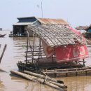 돼지우리 이미지