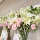 쌍용서비스프라자서초코너 | *서초구웨딩홀 한전웨딩홀 계약후 스드메는 아이리스웨딩으로 결정했어요 :)