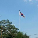 상주 상현리 반송 이미지