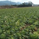 무열농장 이미지