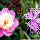 지리산 산사랑펜션 이미지