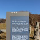 채세영선생묘와신도비 | 용인시 천리 향토유산 조선 후기 유학자 이재 선생 묘