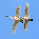 경안천R6 이미지