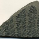 밀양여자고등학교 이미지